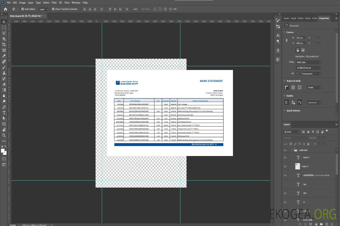 Egypte Relevé bancaire de la Blom Bank of Egypt, modèle facile à remplir au format Excel et PDF template